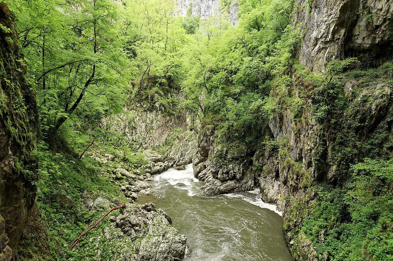 The Reka gorge at the Škocjan Caves.