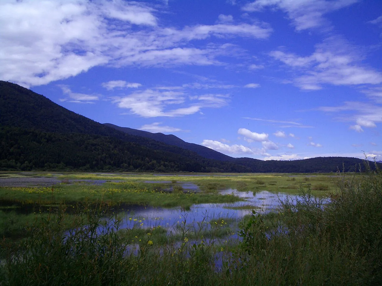 Wetland meadows at Lake Cerknica.