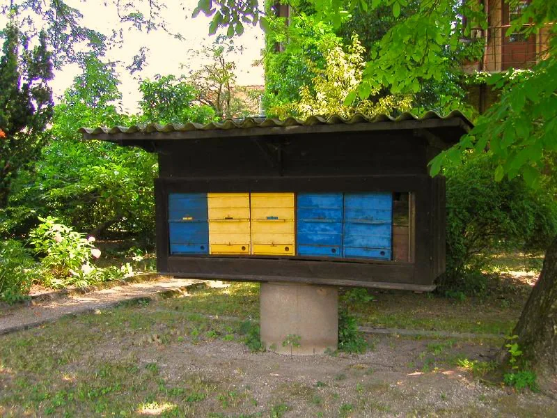 Beehives in a Slovenian garden.