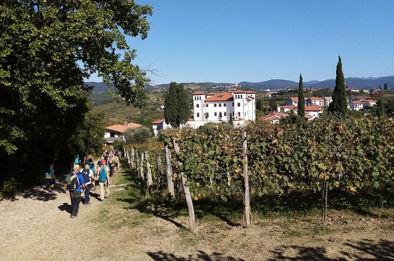 The footpath to Šmartno in Goriška Brda.