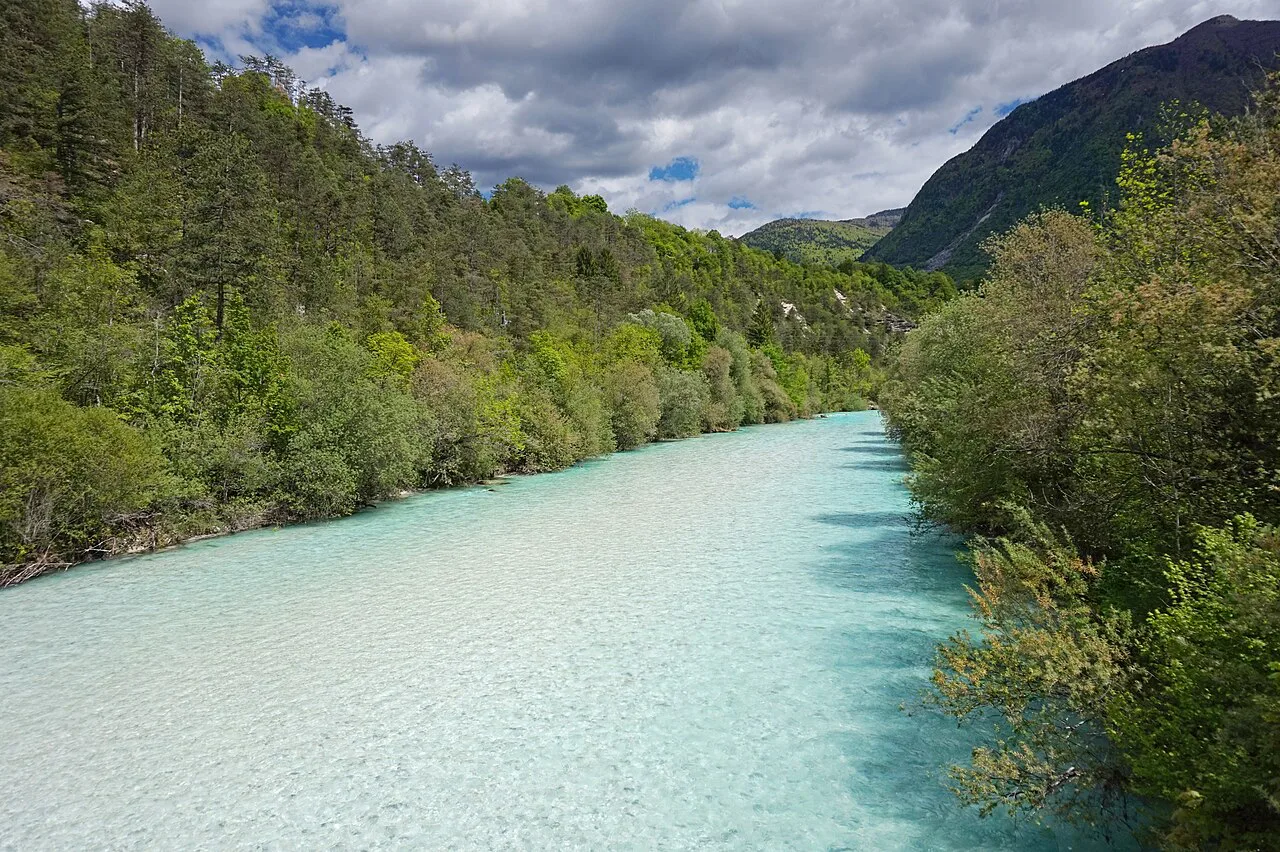 The milky-green Soča.