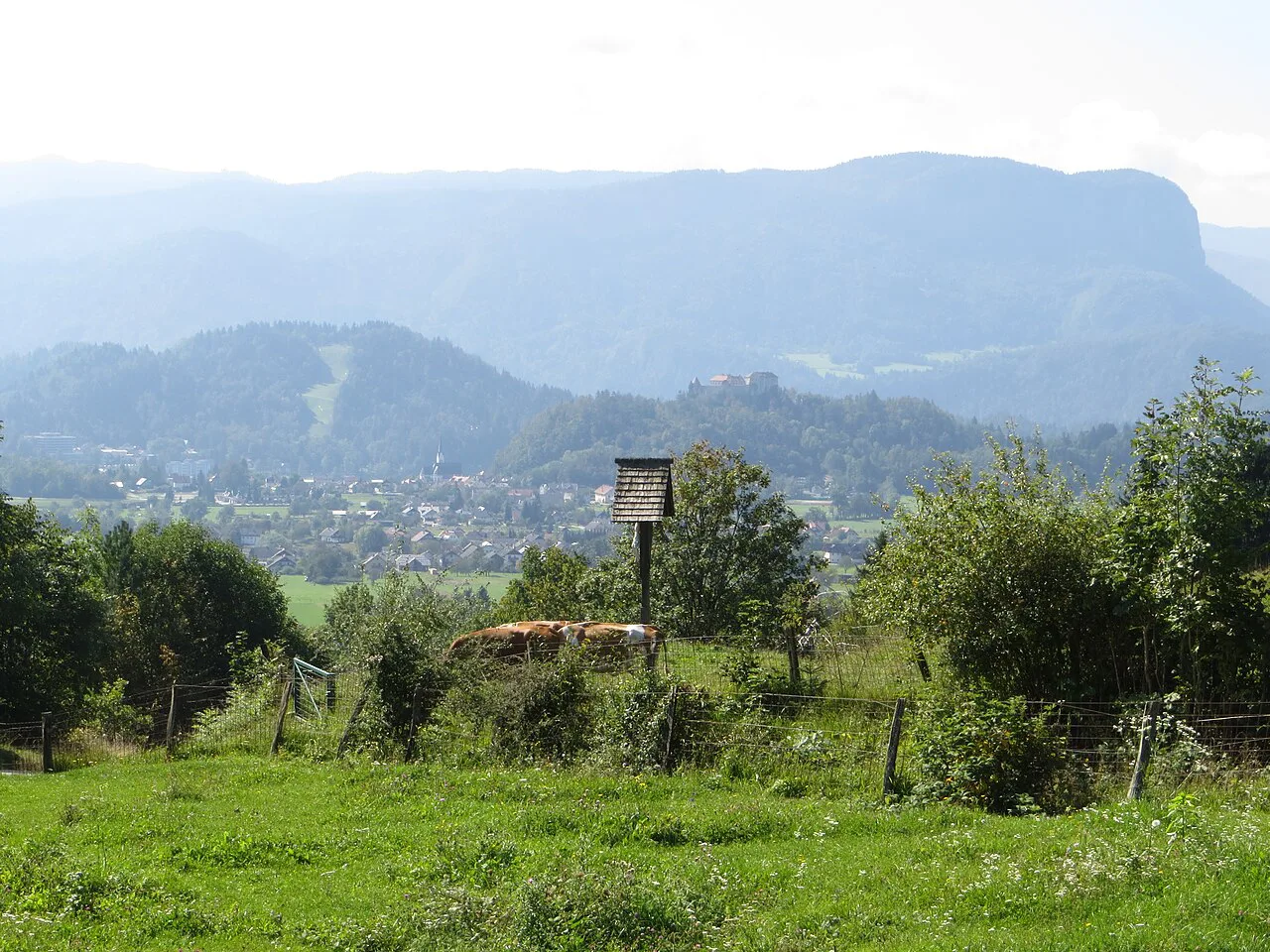 The view over Bled from the hill above the town.