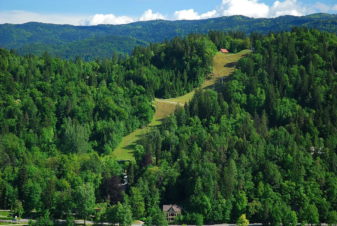 The Straža hill slope above Bled.