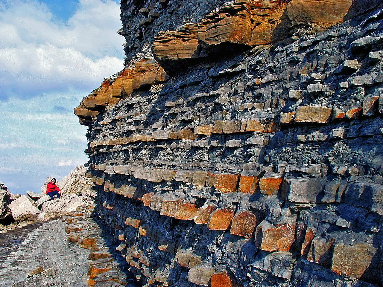 The flysch cliff near Strunjan.