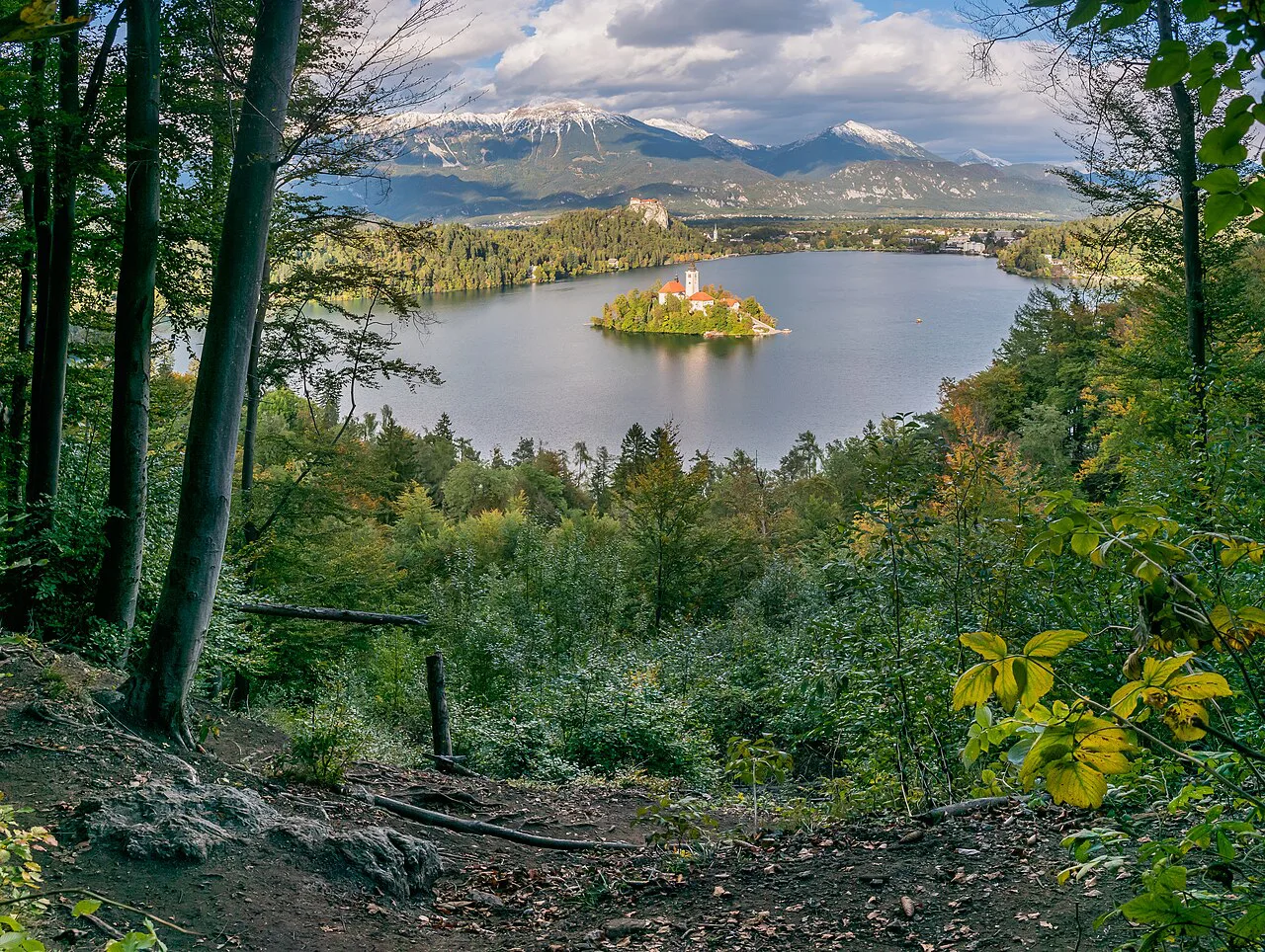Lake Bled and the island seen from the wooded slopes above the shore.