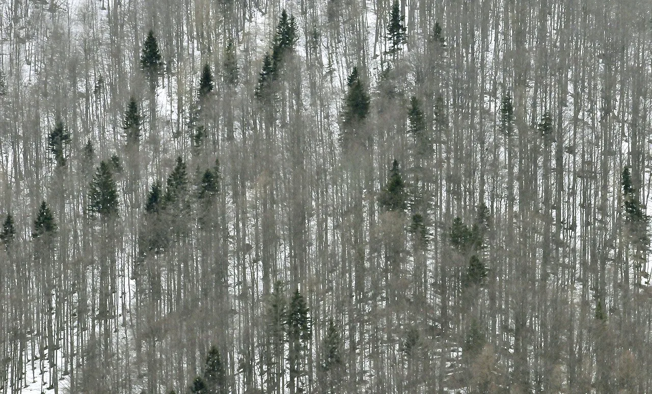The Vrata valley in Triglav National Park.