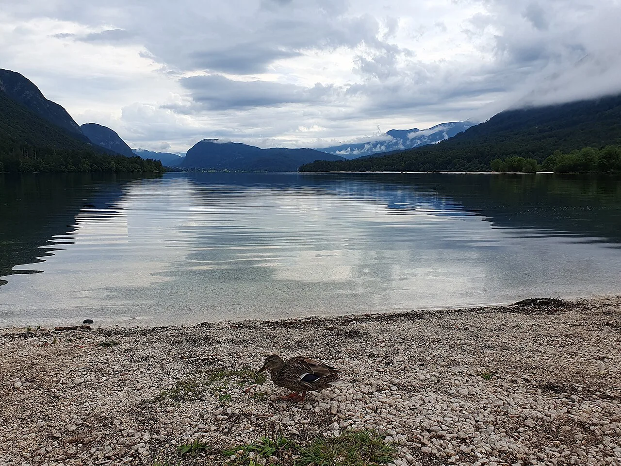 Lake Bohinj from the shore at Ukanc.