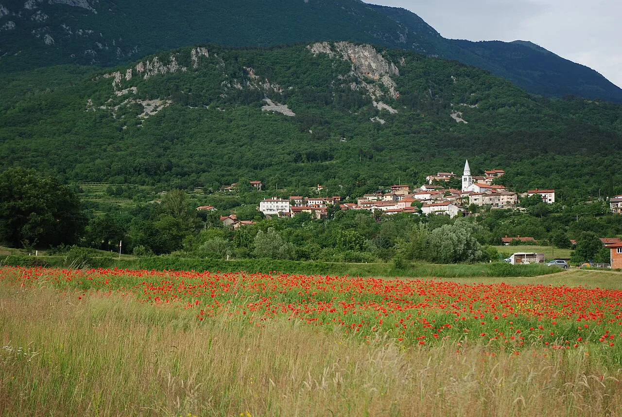 Osek in the Vipava valley.