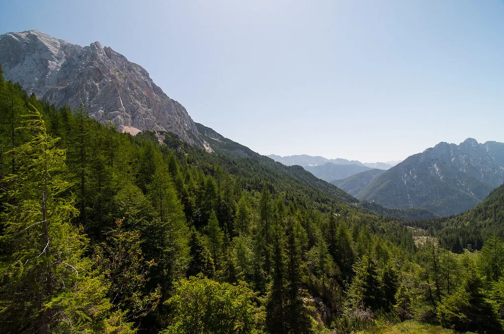 Forest and peaks on the Vršič pass road.