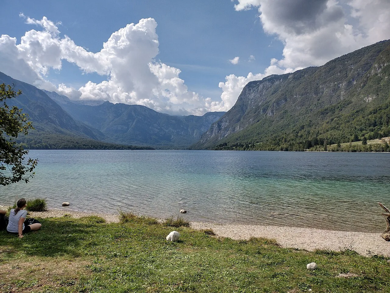 The grassy shore of Lake Bohinj.