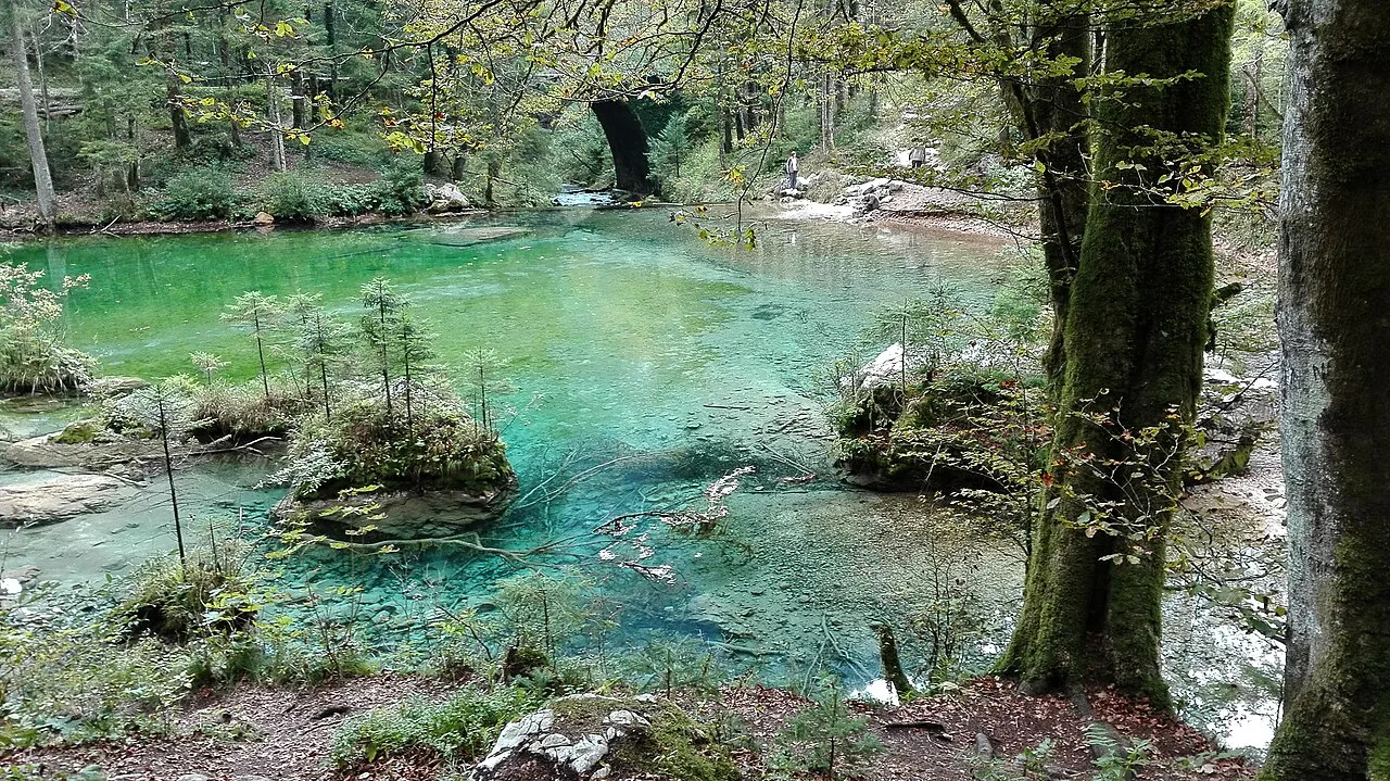 The emerald water of Divje jezero.