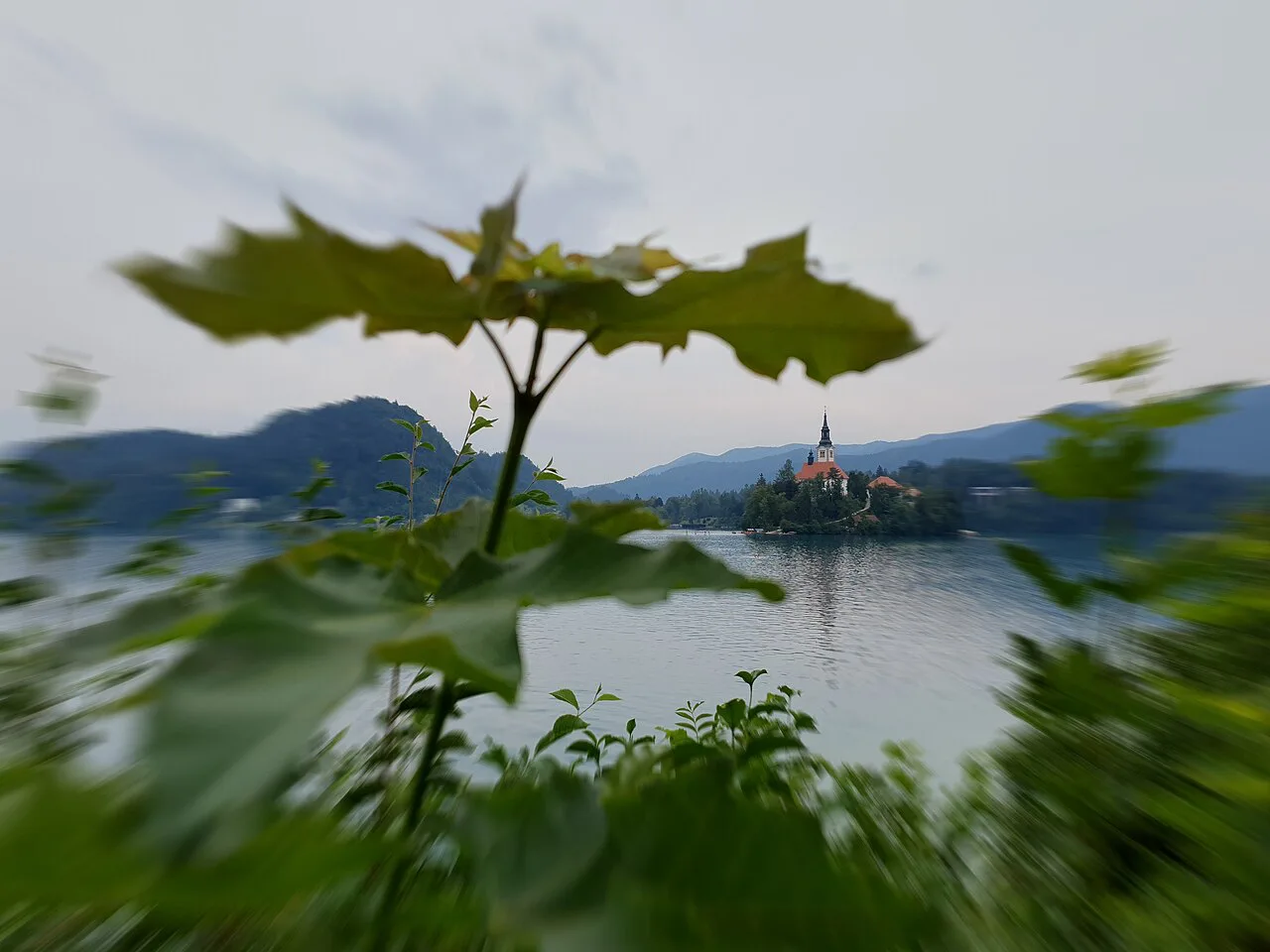 Bled Island from Mala Zaka.