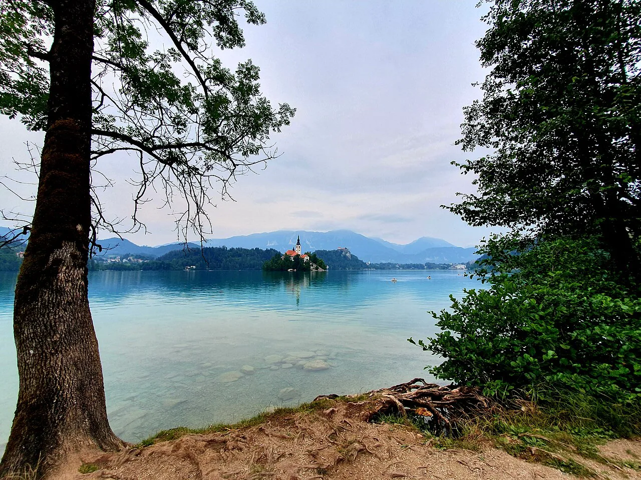 Bled Island seen from Velika Zaka.