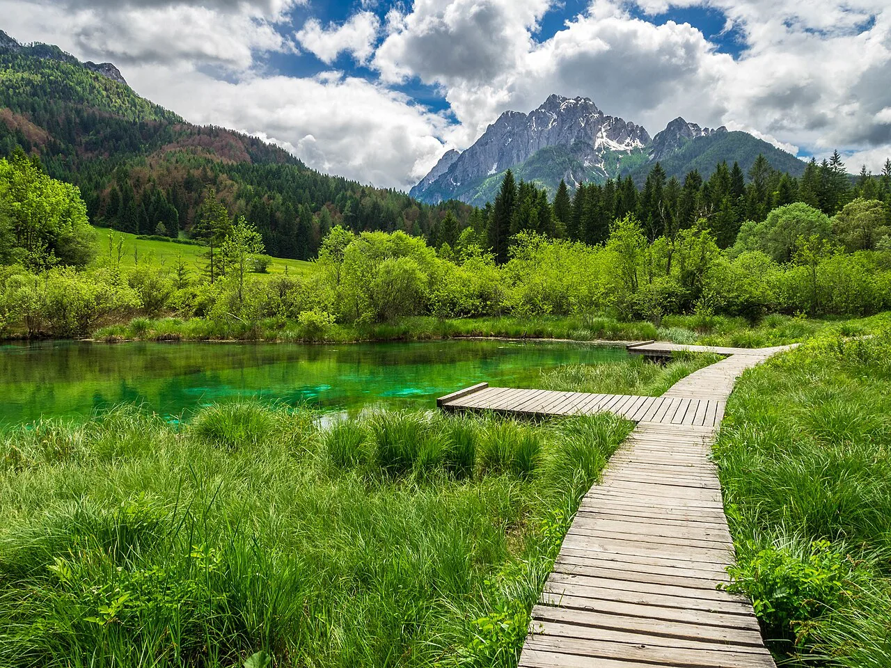 The boardwalk at Zelenci.