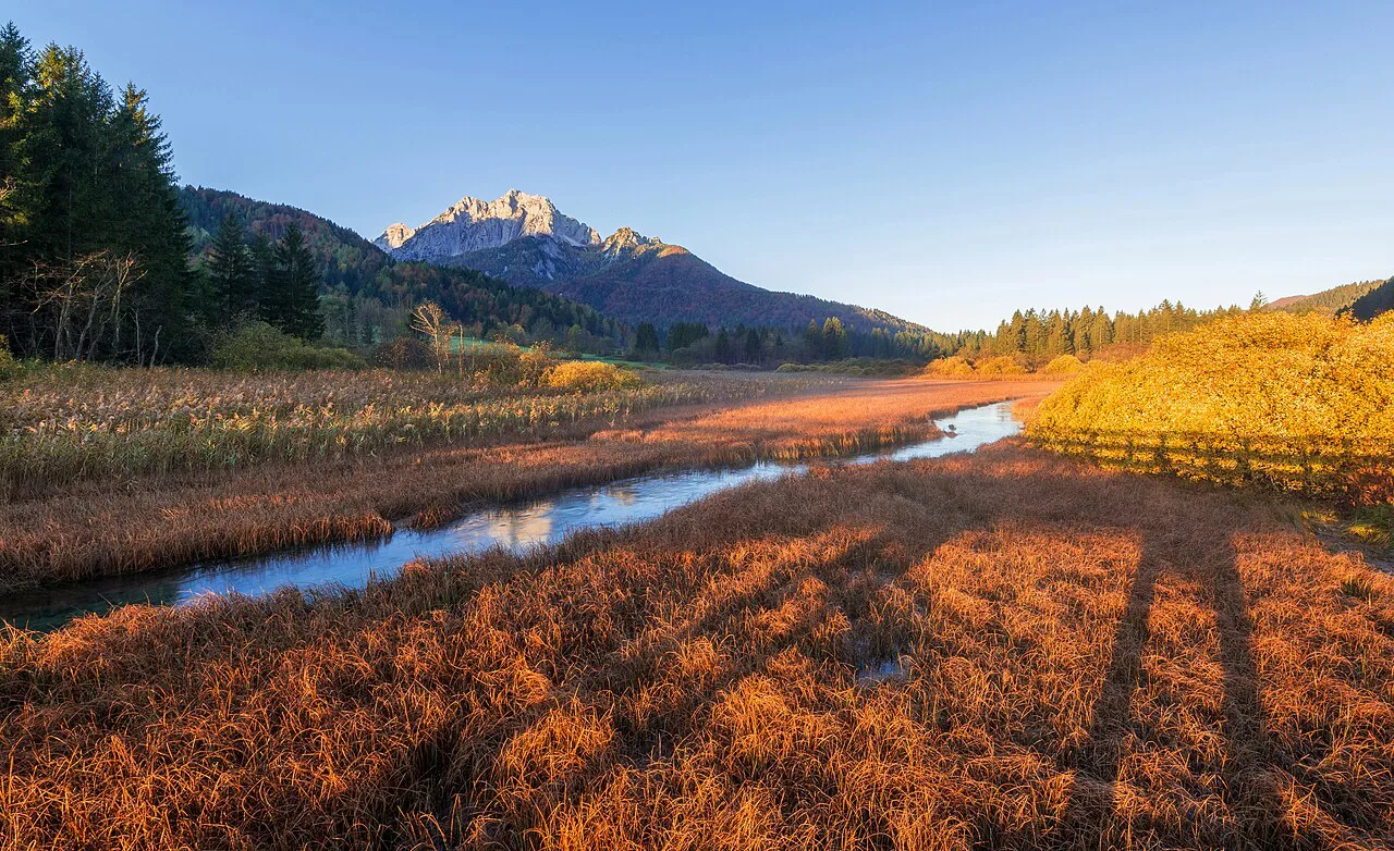 Zelenci in autumn.