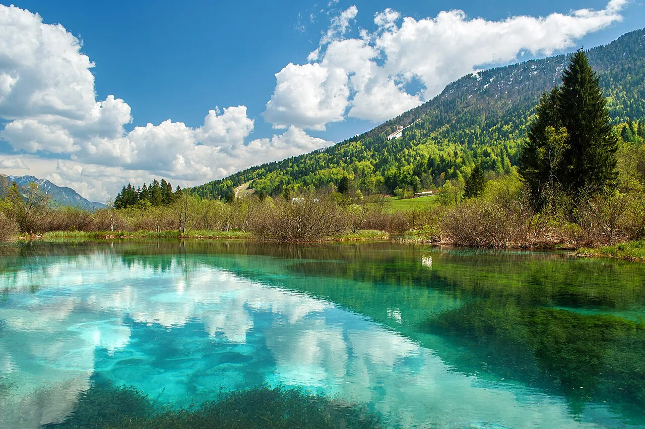 The Zelenci springs and nature reserve.
